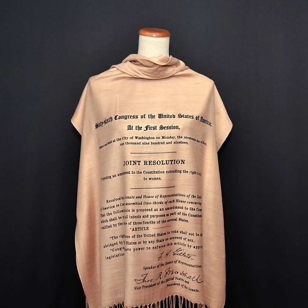 19th Amendment to the U.S. Constitution: Women's Right to Vote scarf/ shawl, August 18, 1920, Women's rights