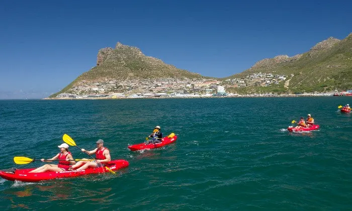 2-Hour Guided Kayak Tour