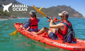 2-Hour Guided Kayak Tour