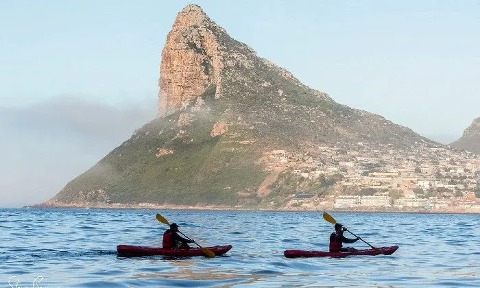 2-Hour Guided Kayak Tour