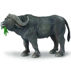 Cape Buffalo
