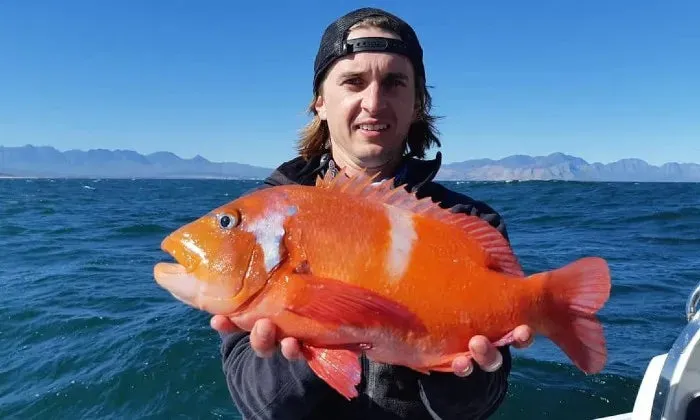 Cape Point deep sea fishing experience