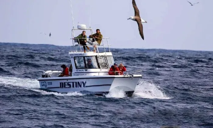 Cape Point deep sea fishing experience