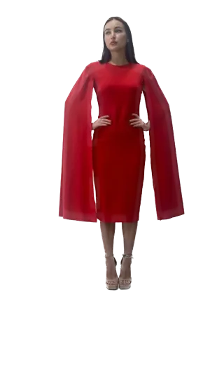 Cape Sleeve Dress