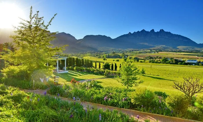 Cape Winelands: 1-Night Stay for Two with Wine Tasting & R100 Wine Voucher at Val Du Charron Wine & Leisure Estate