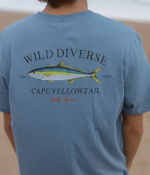 Cape YellowTail