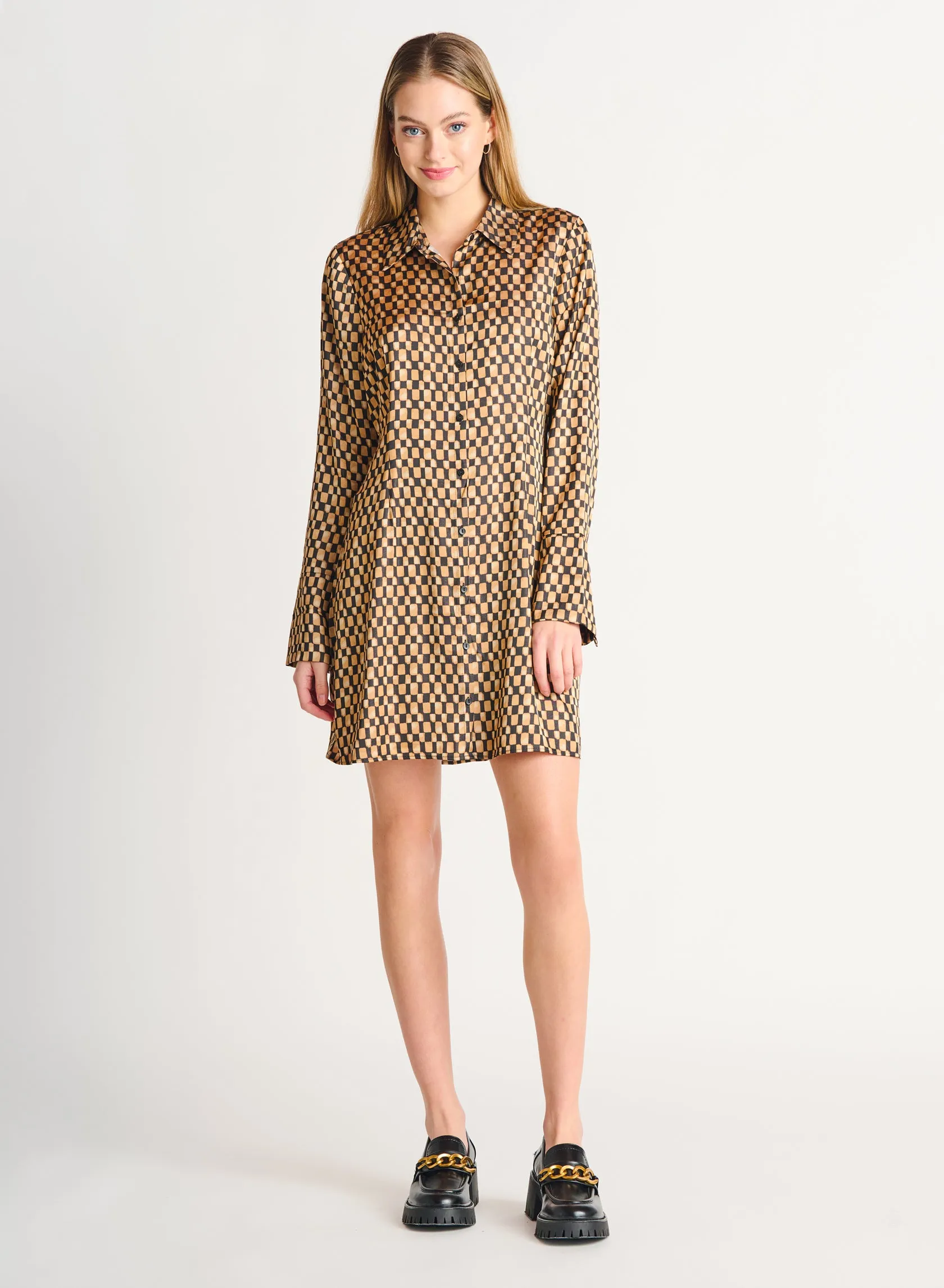 Dex Reagan Satin Shirtdress