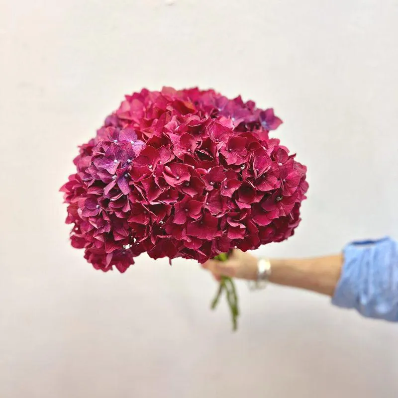 Maroon Hydrangea Bouquet