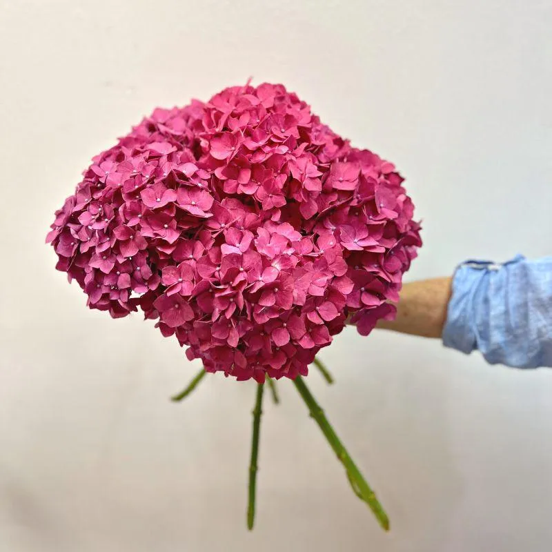 Maroon Hydrangea Bouquet