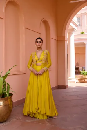Mastani Sharara Set