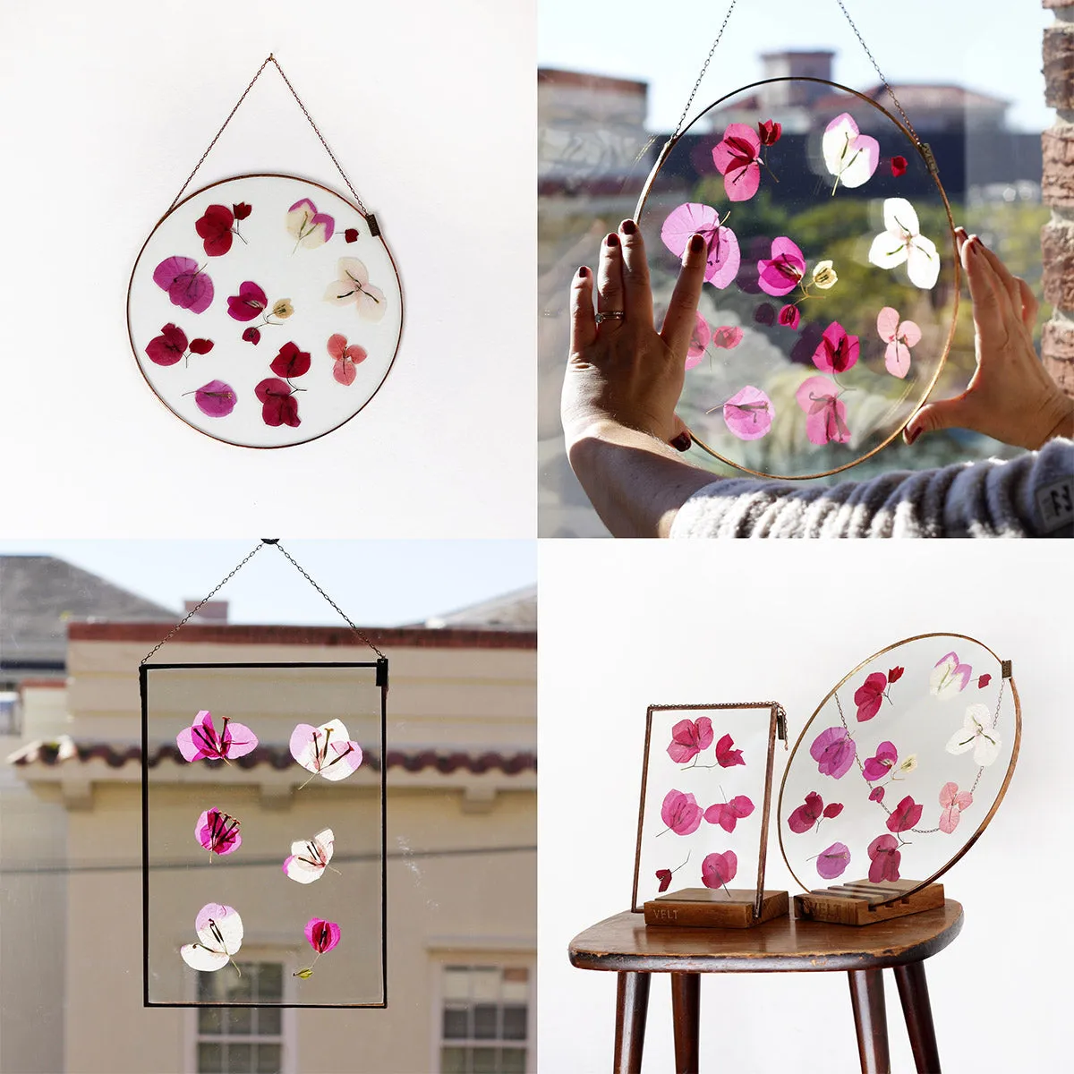 VELT Botanical Frame - Bougainvillea