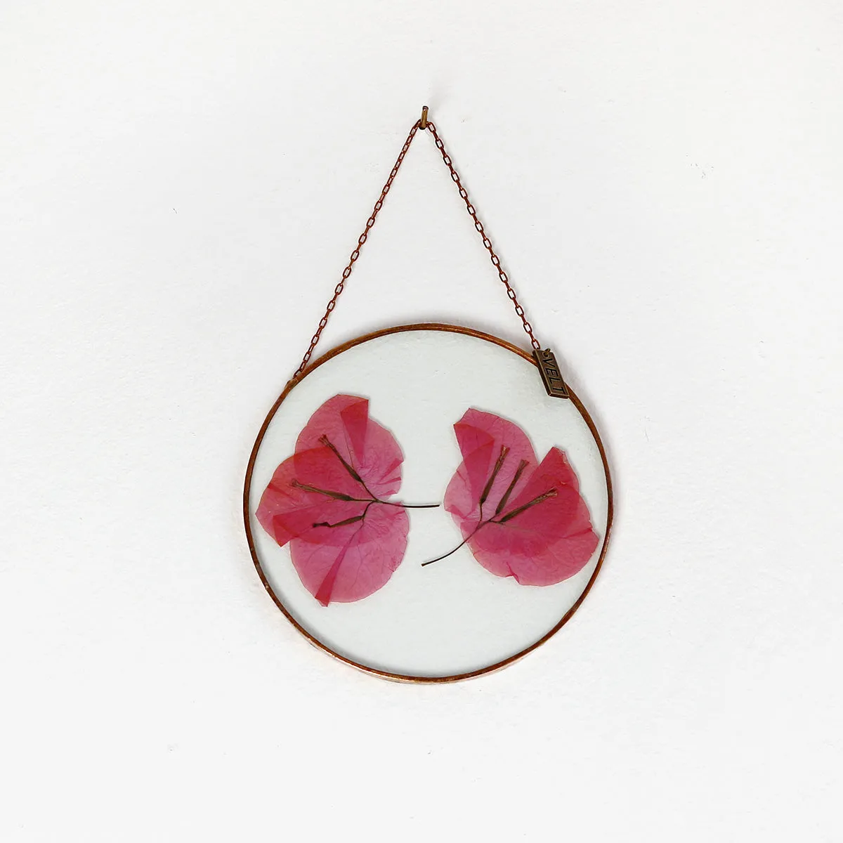 VELT Botanical Frame - Bougainvillea