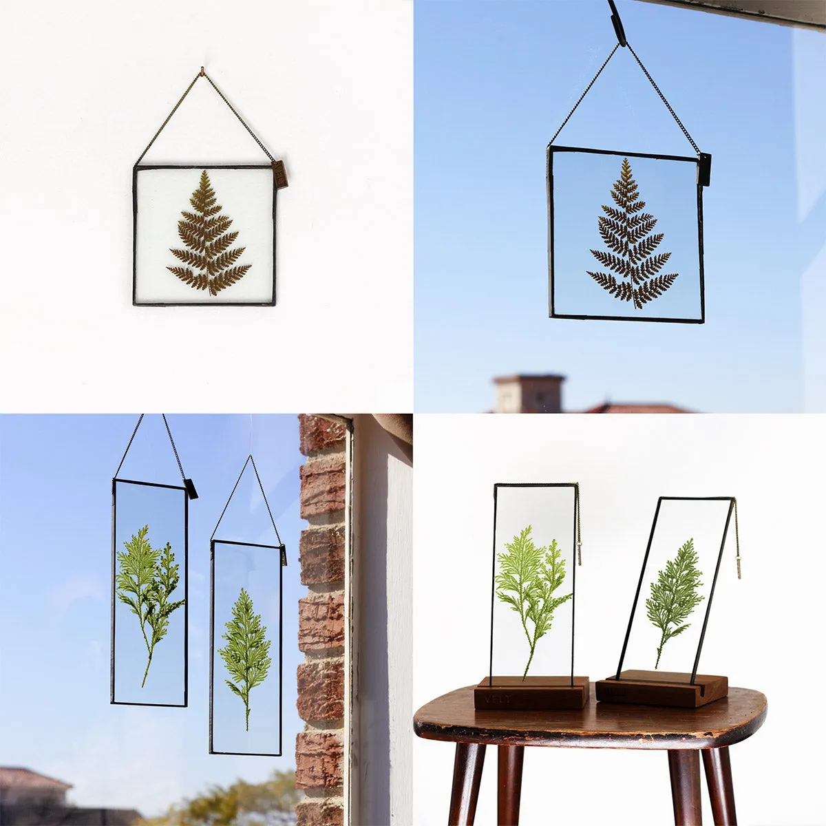 VELT Botanical Frame - Ferns