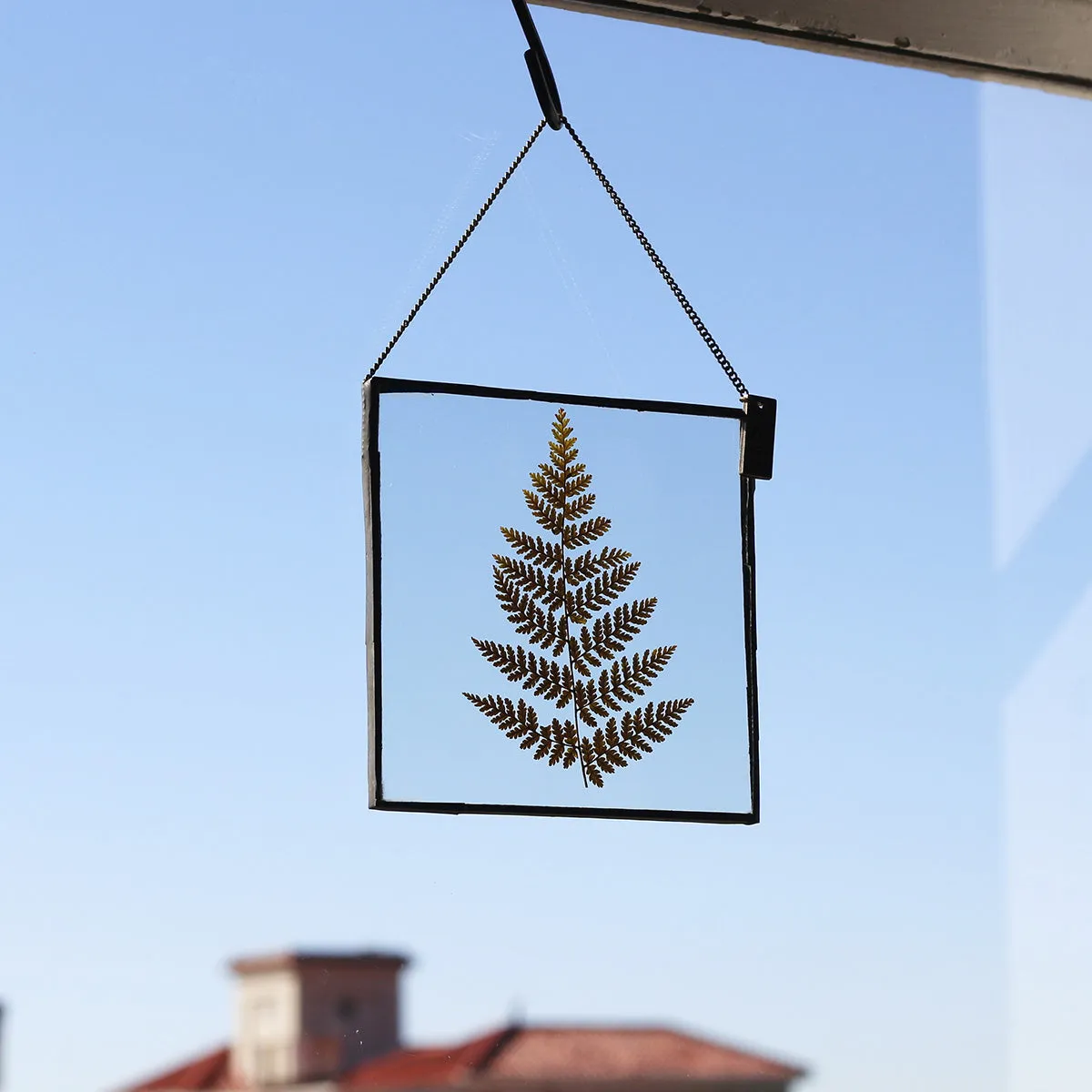VELT Botanical Frame - Ferns