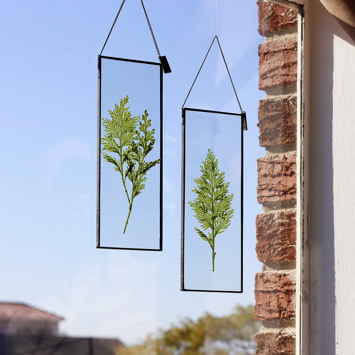 VELT Botanical Frame - Ferns