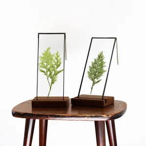 VELT Botanical Frame - Ferns