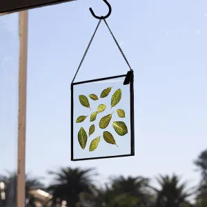 VELT Botanical Frame - Fittonia