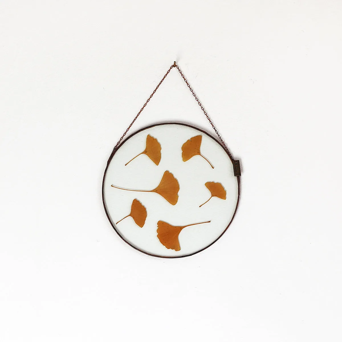 VELT Botanical Frame - Gingko