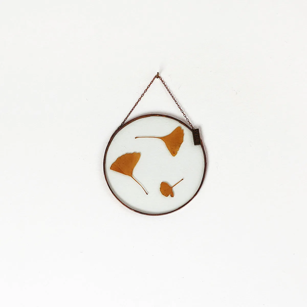 VELT Botanical Frame - Gingko