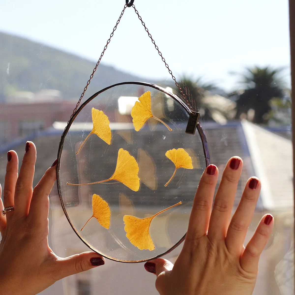 VELT Botanical Frame - Gingko