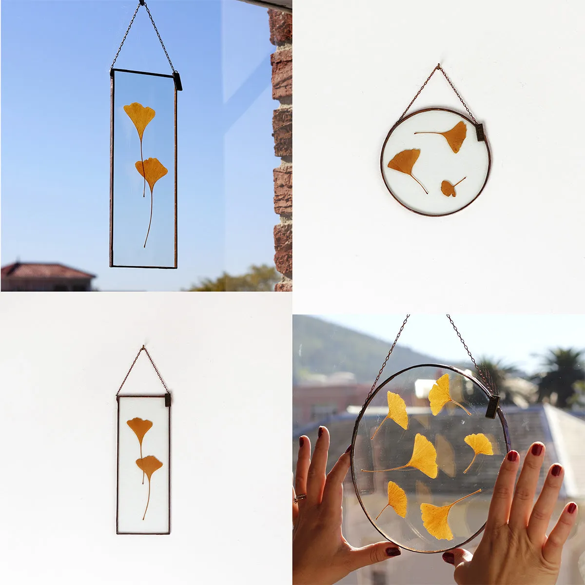 VELT Botanical Frame - Gingko