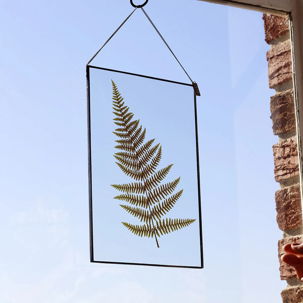 VELT Botanical Frame - Large Fern