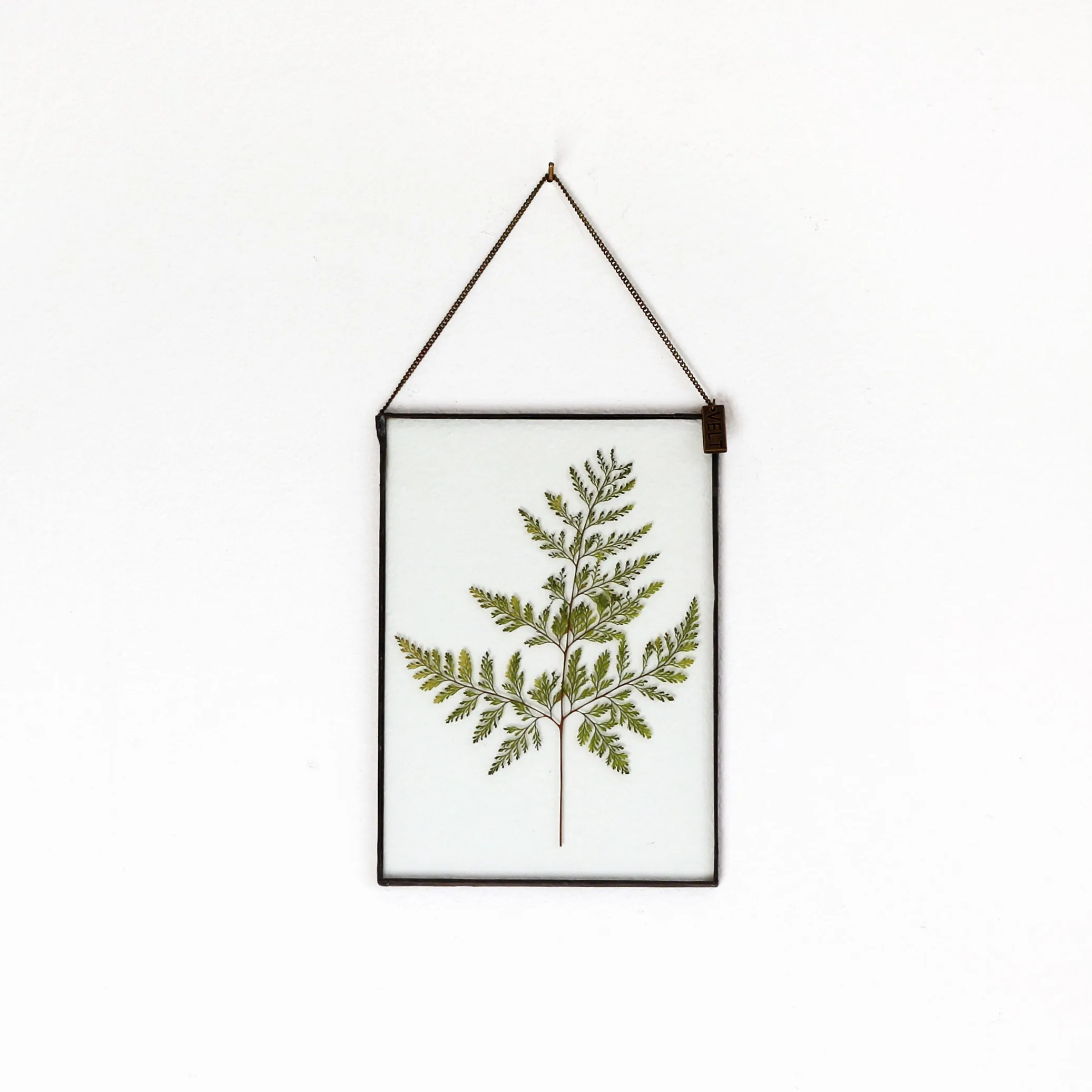 VELT Botanical Frame - Large Fern
