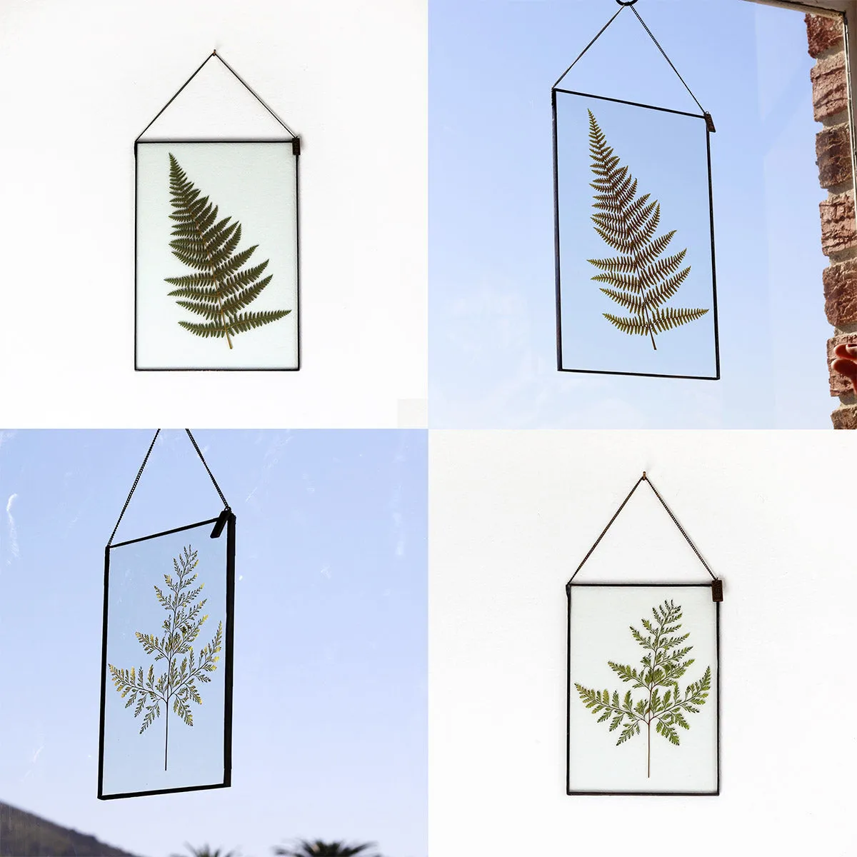 VELT Botanical Frame - Large Fern
