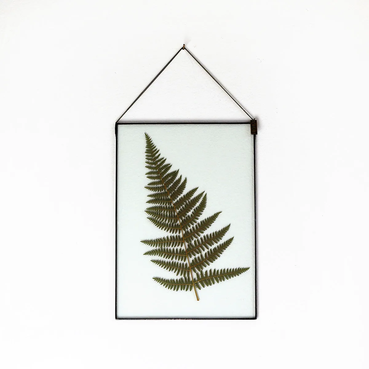 VELT Botanical Frame - Large Fern