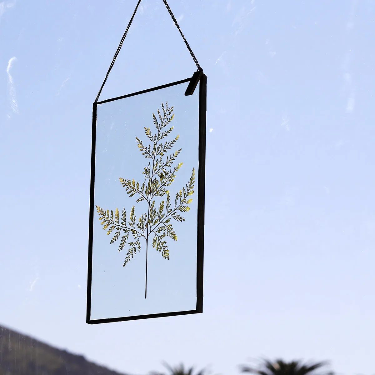 VELT Botanical Frame - Large Fern