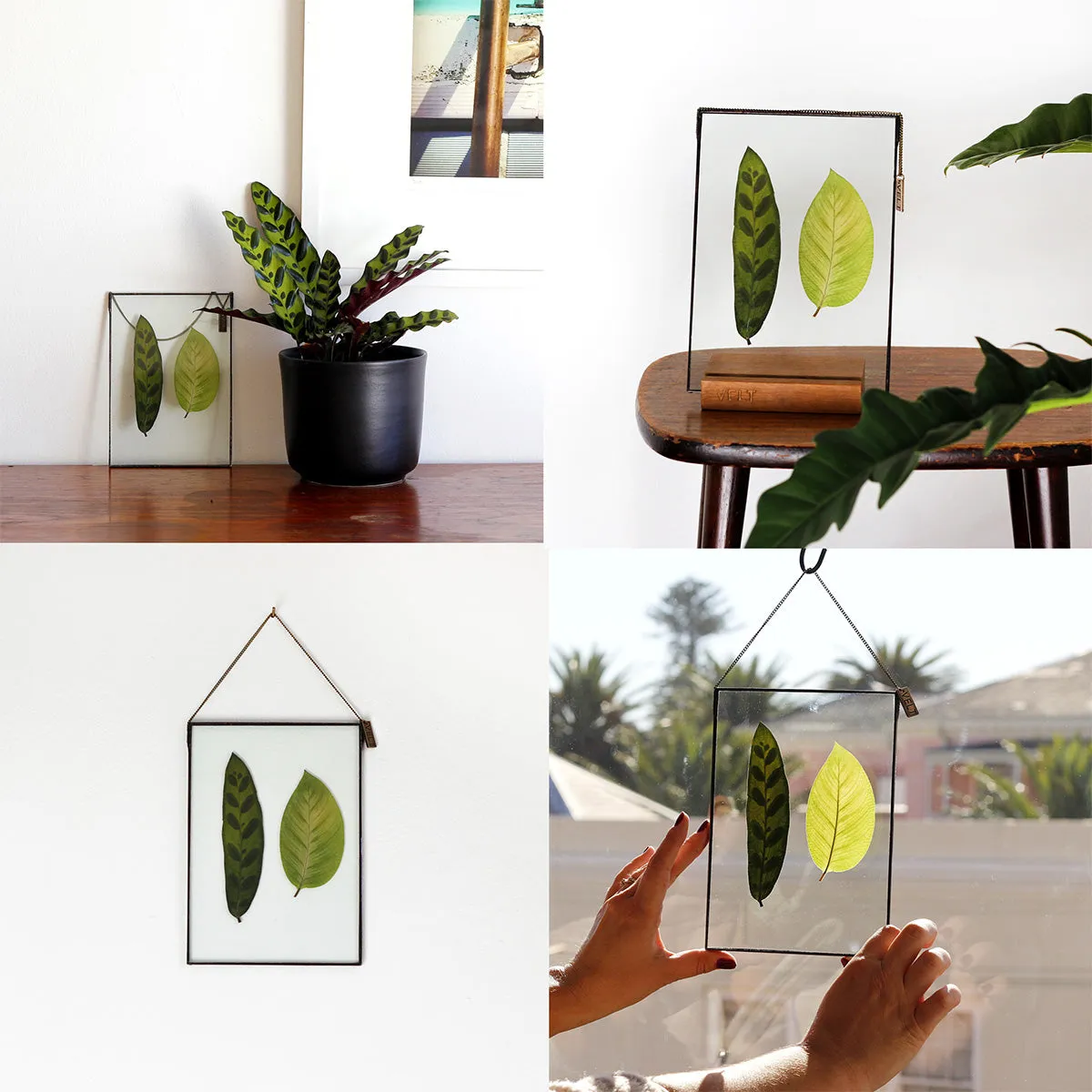 VELT Botanical Frame - Mixed Foliage