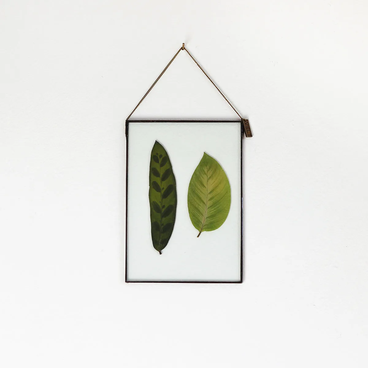 VELT Botanical Frame - Mixed Foliage