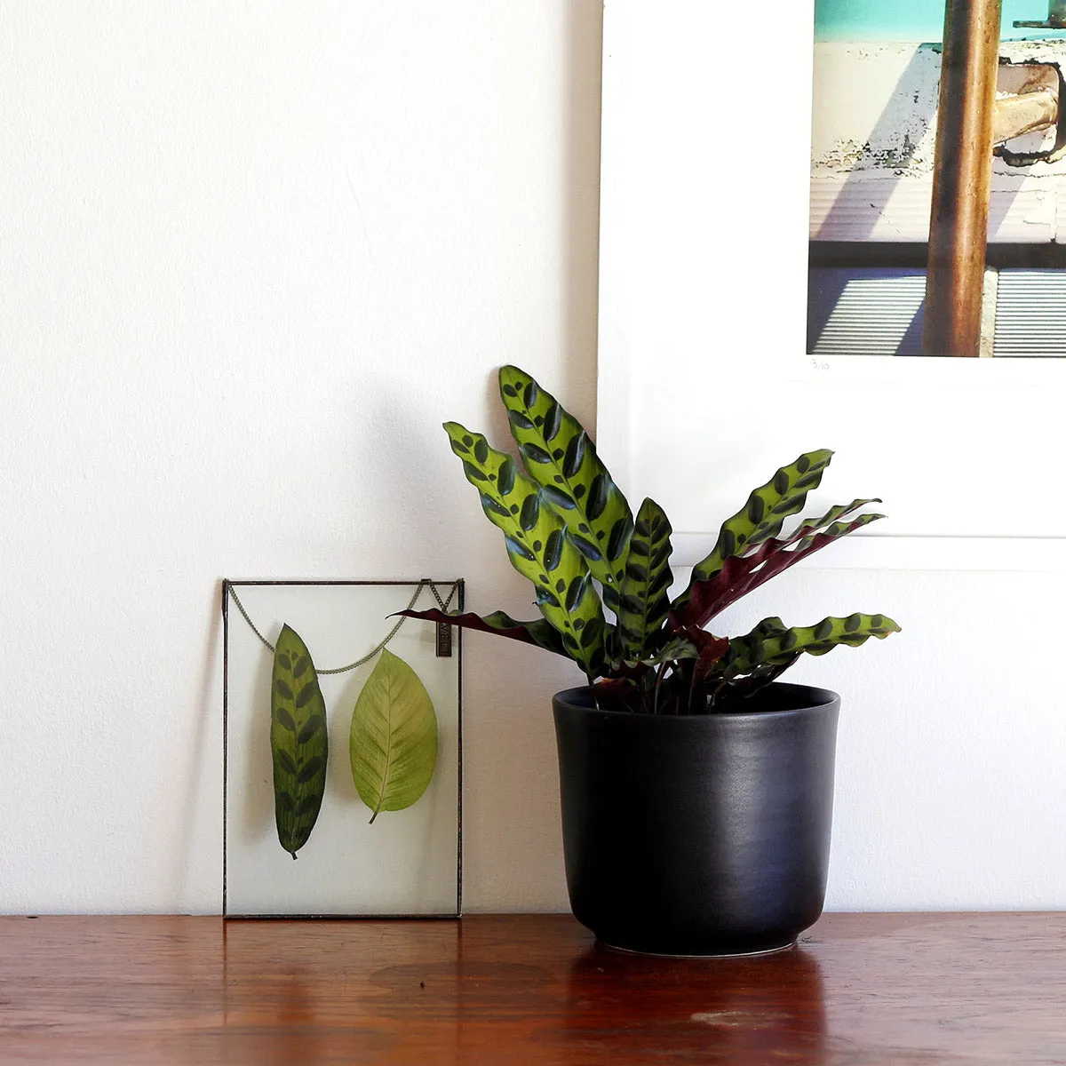 VELT Botanical Frame - Mixed Foliage