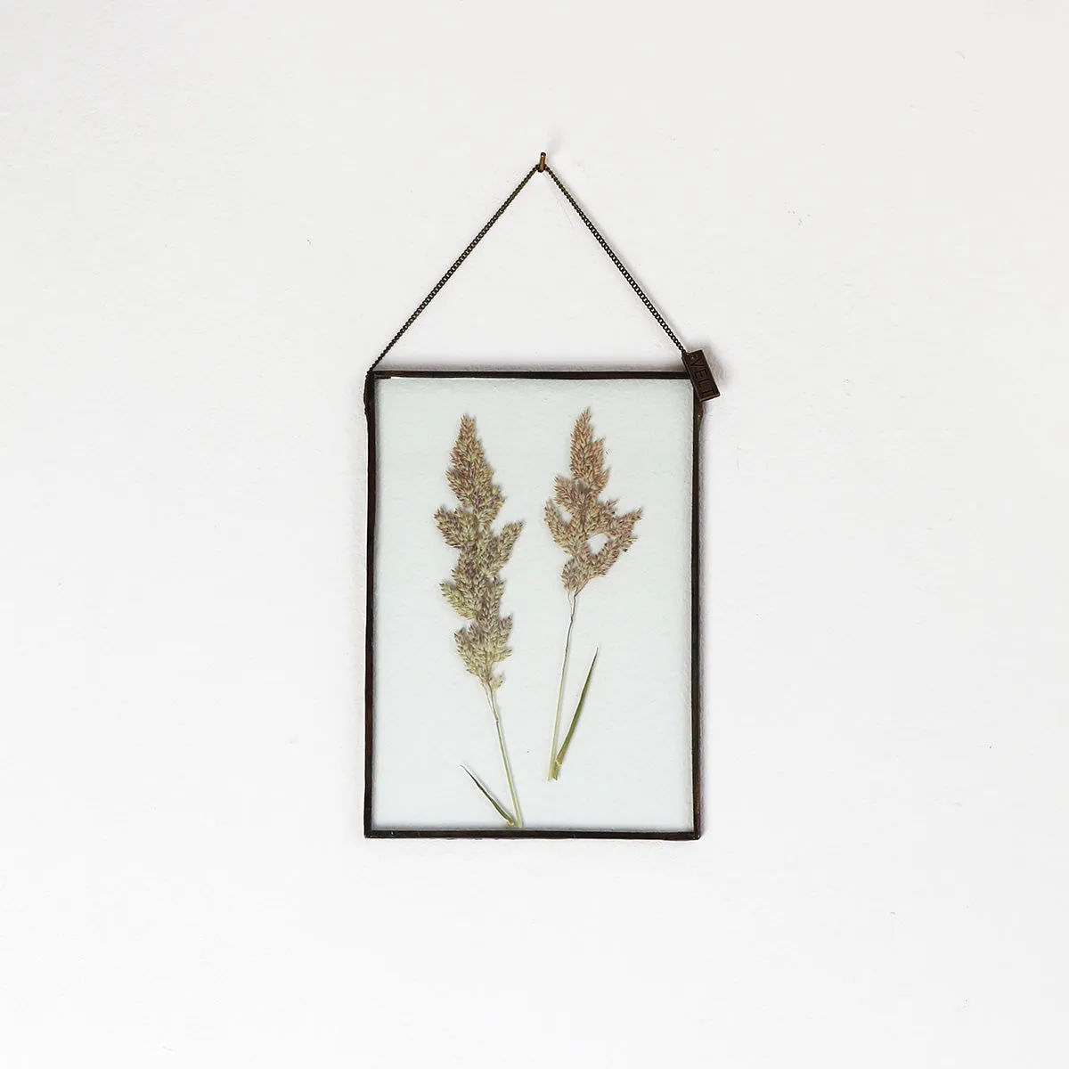 VELT Botanical Frame - Wild Grasses