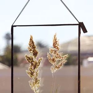 VELT Botanical Frame - Wild Grasses