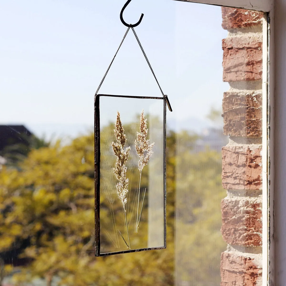 VELT Botanical Frame - Wild Grasses